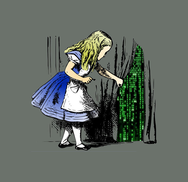 Alice In The Matrix Digital Art by Sibainu - Fine Art America