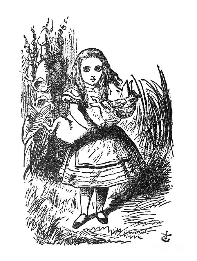 Alice in Wonderland Antique illustration - Alice holding a baby pig ...