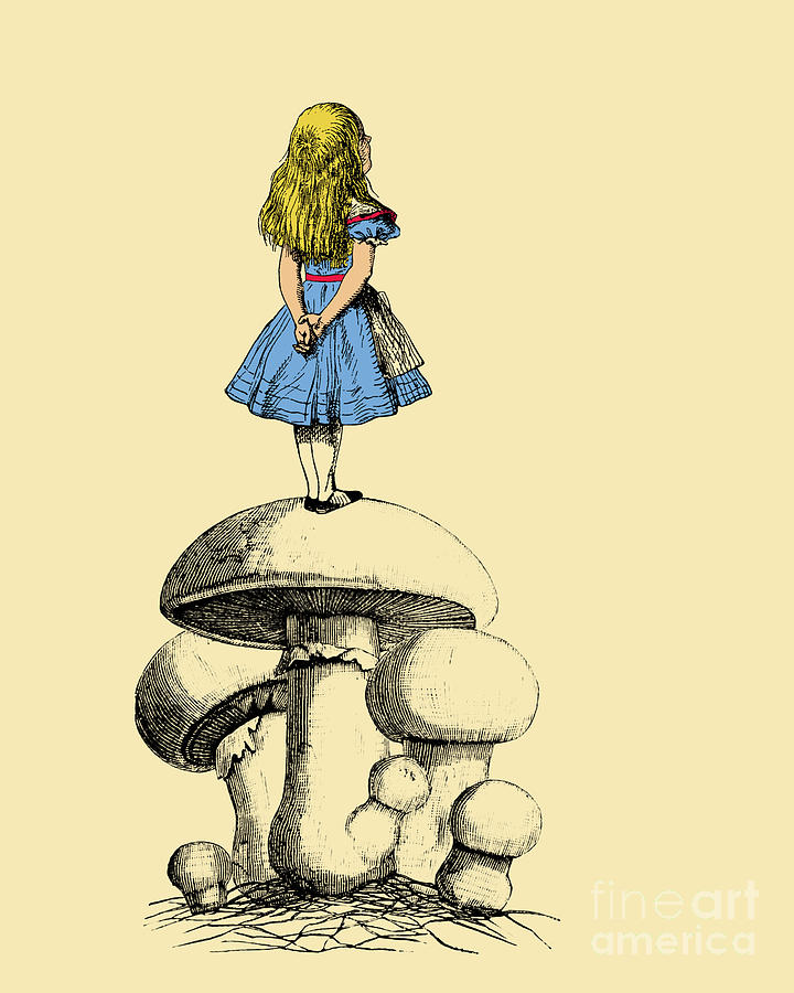 Alice In Wonderland Movie Digital Art - Alice on a mushroom by Madame Memento