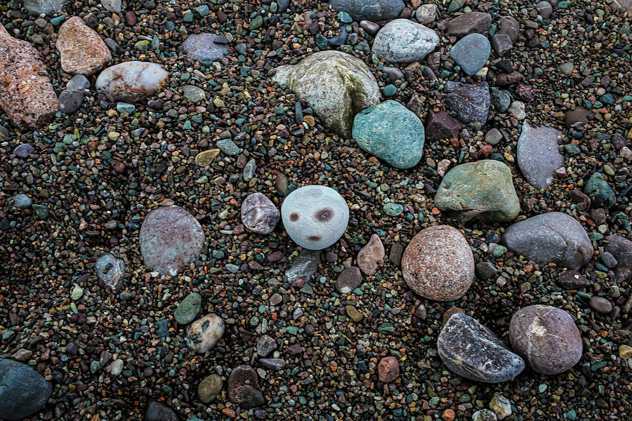 Alien Among The Stones Photograph by Pheasant Run Gallery