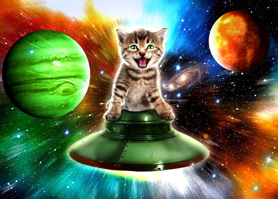 Alien cat in the ufo saucer Digital Art by Johnnie Art - Fine Art America