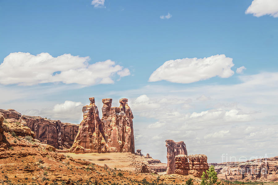 Alien Hoodoos in Arches National Park Photograph by Susan Vineyard