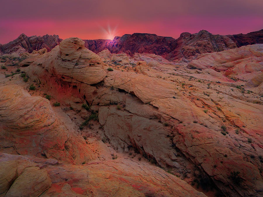 Alien Sunrise Landscape D Digital Art by Frank Wilson