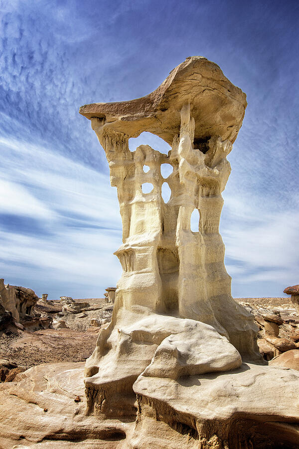 Alien Throne Photograph by Stephen Stookey | Fine Art America