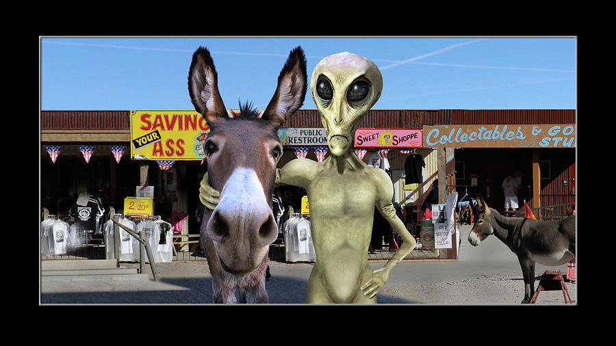 Alien Vacation - Oatman Arizona Photograph by Mike McGlothlen