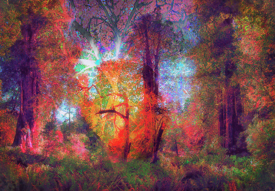 ALIENS FROM ANOTHER UNIVERSE land in Fantastic redwoods Digital Art by ...