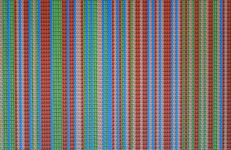 Aligned DNA sequences displayed on LCD screen Photograph by Alanphillips