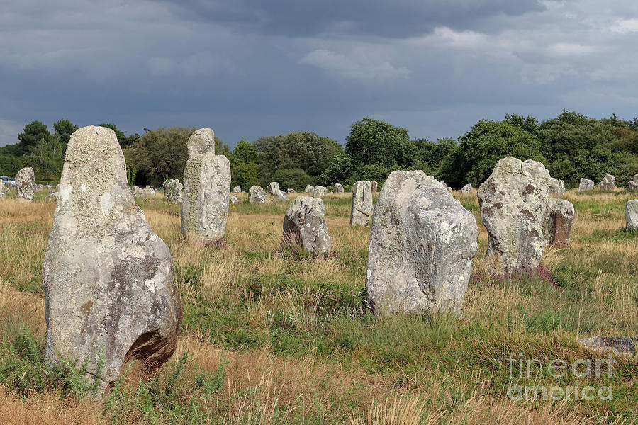Alignments Of Carnac Photograph