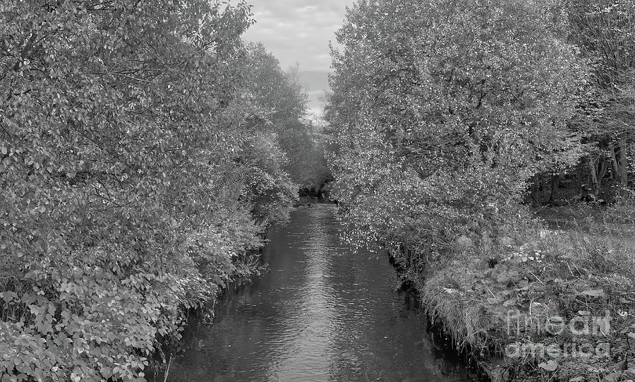 Alkington Woods river in Monochrome Photograph by Pics By Tony