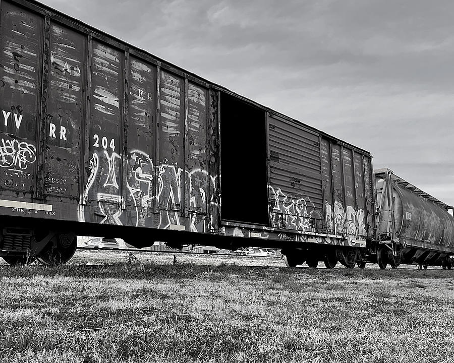 All Aboard BW Photograph by Lee Darnell