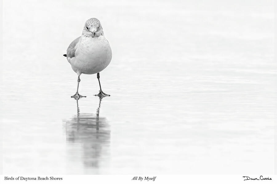 All By Myself-signed Photograph by Dawn Currie