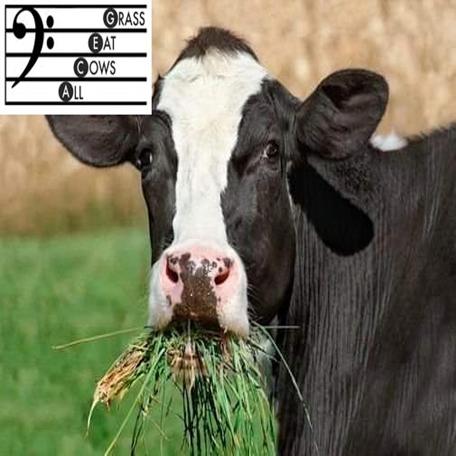 All Cows Eat Grass Poster Copy Painting by Selina Wendy Fine Art America