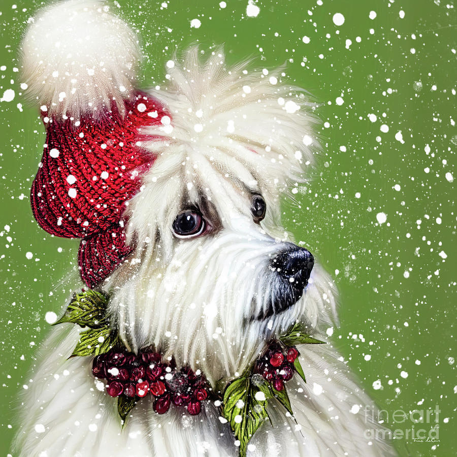 Christmas Digital Art - All Dolled Up by Tina LeCour