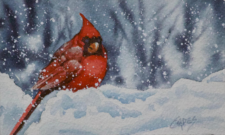 Cardinal Painting - All Fluffed up and Cozy by Linda Eades Blackburn