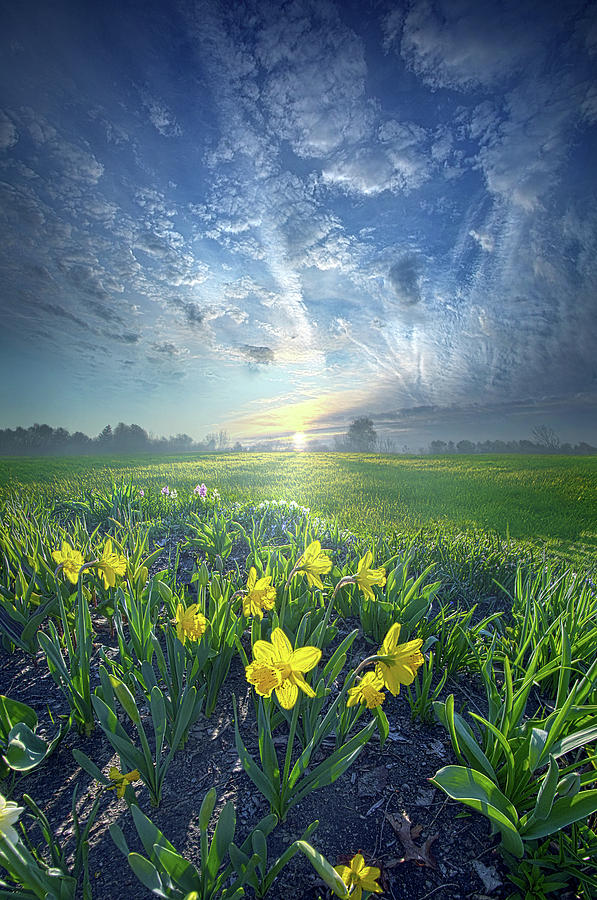 All I Have To Do Is Dream Photograph by Phil Koch