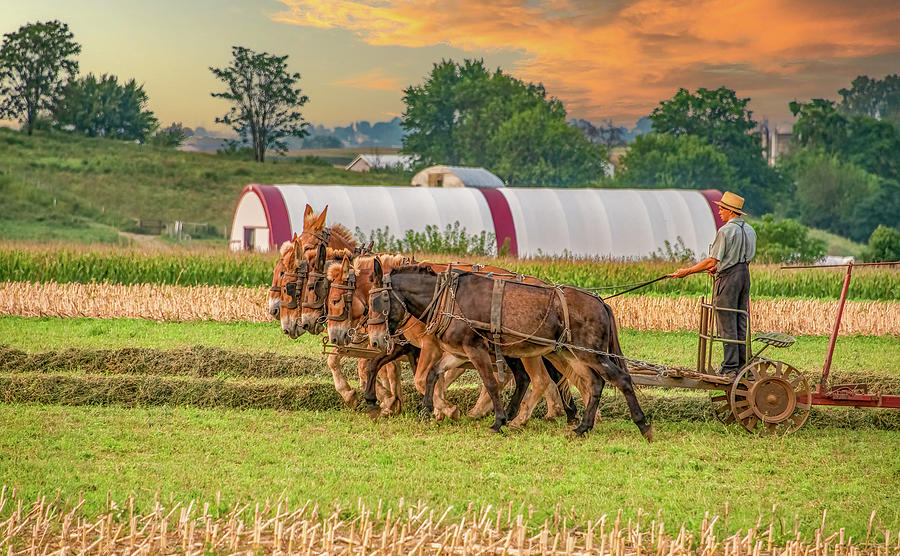 All in a Days Work in Lancaster County Photograph by Marcy Wielfaert
