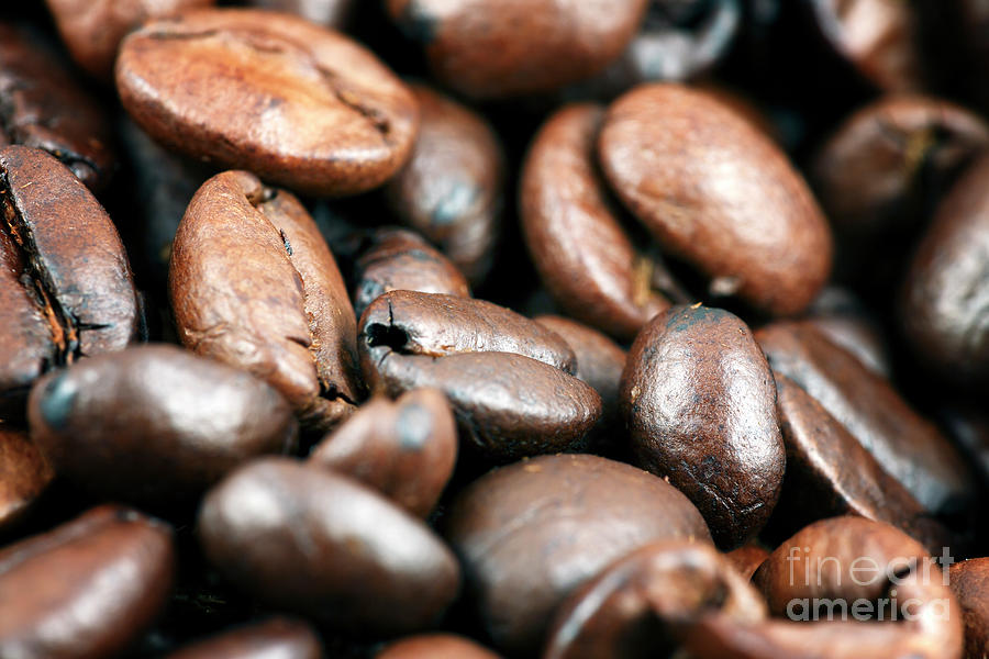 All in the Coffee Beans Photograph by John Rizzuto