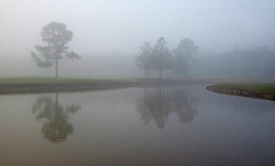 All on a Misty Morning Photograph by Cheri Randolph