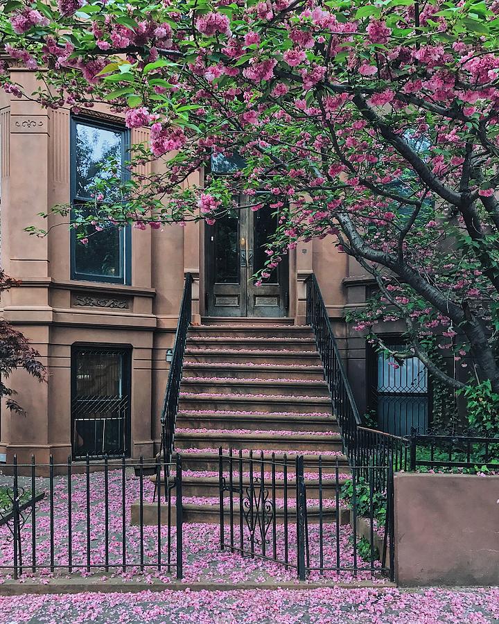 All Pink Everything Photograph by Jessica Wylie - Fine Art America