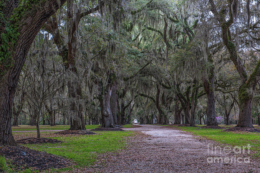 All Roads Lead To Charleston Photograph