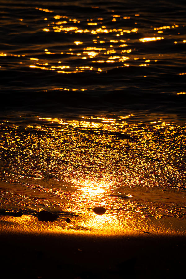 All That Glitters is Gold Photograph by Linda Bonaccorsi