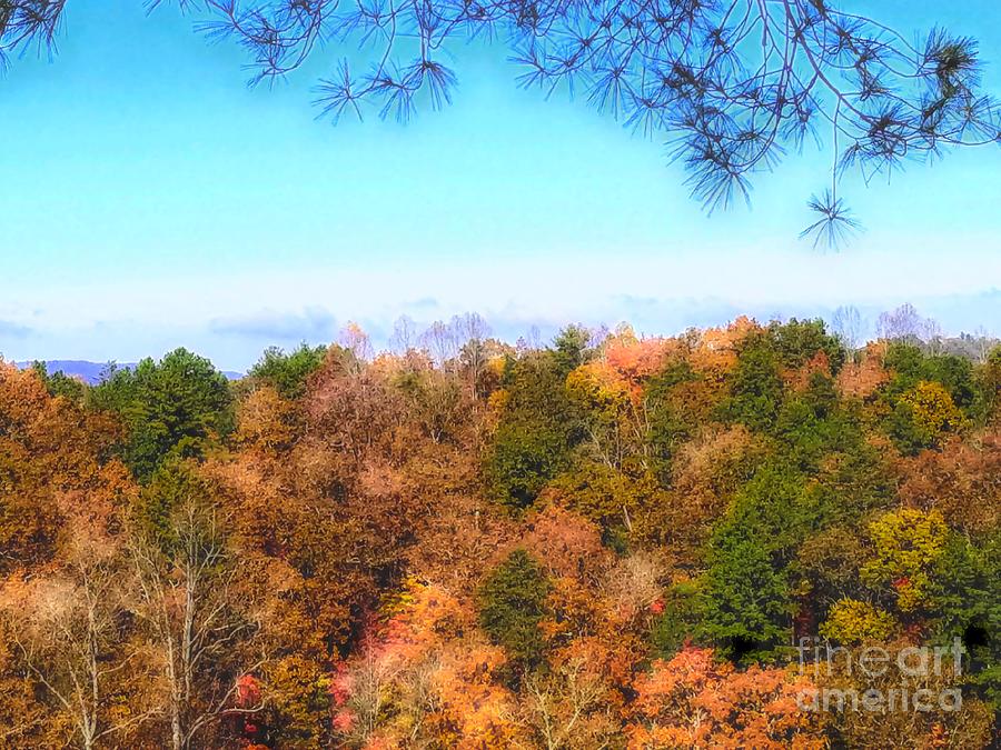 Fall Photograph - All The Colors Of Fall by Rachel Hannah