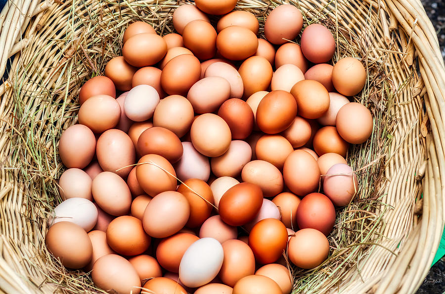 All the Eggs in one Basket Photograph by Bruce Block