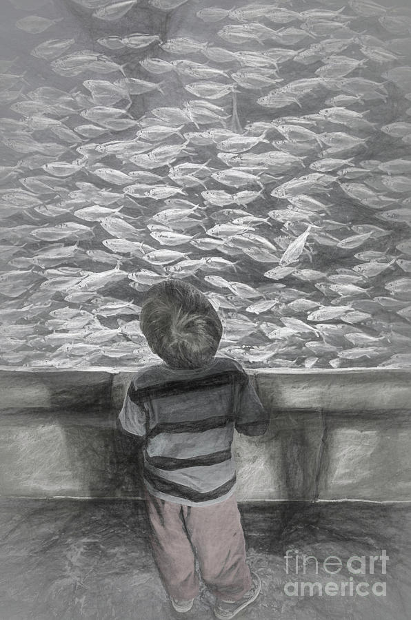 All Those Fish Photograph by Kathleen K Parker