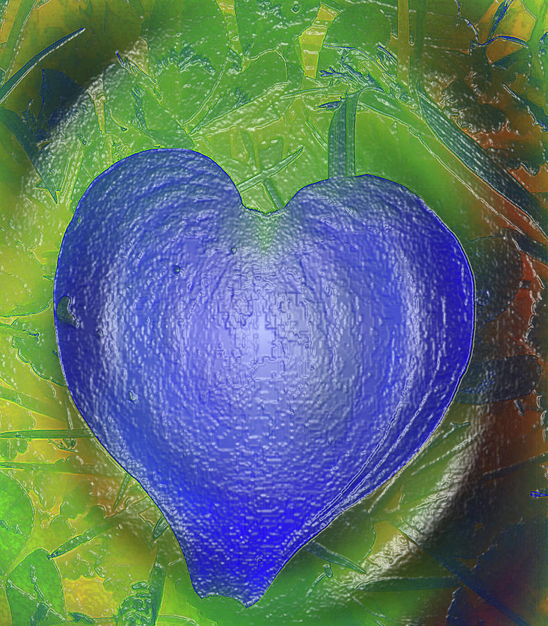 Abstract Photograph - All Wrapped Up by Holly Morris Abstract Photograph - All Wrapped Up by Holly Morris