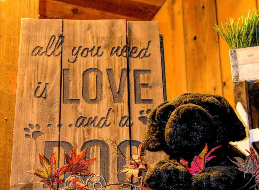 All You Need is Love and a Dog Photograph by Floyd Snyder