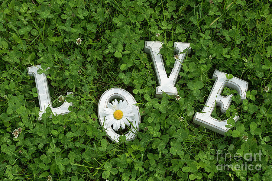All You Need is Love Photograph by Tim Gainey