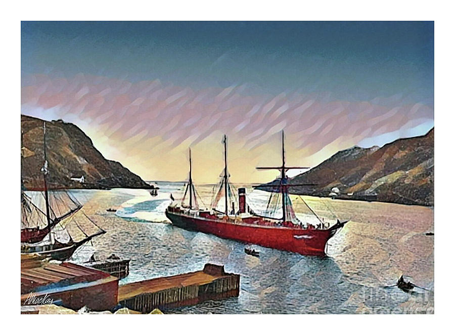 Allan Line Steamer in St. Johns Harbour, NFLD  Digital Art by Art MacKay