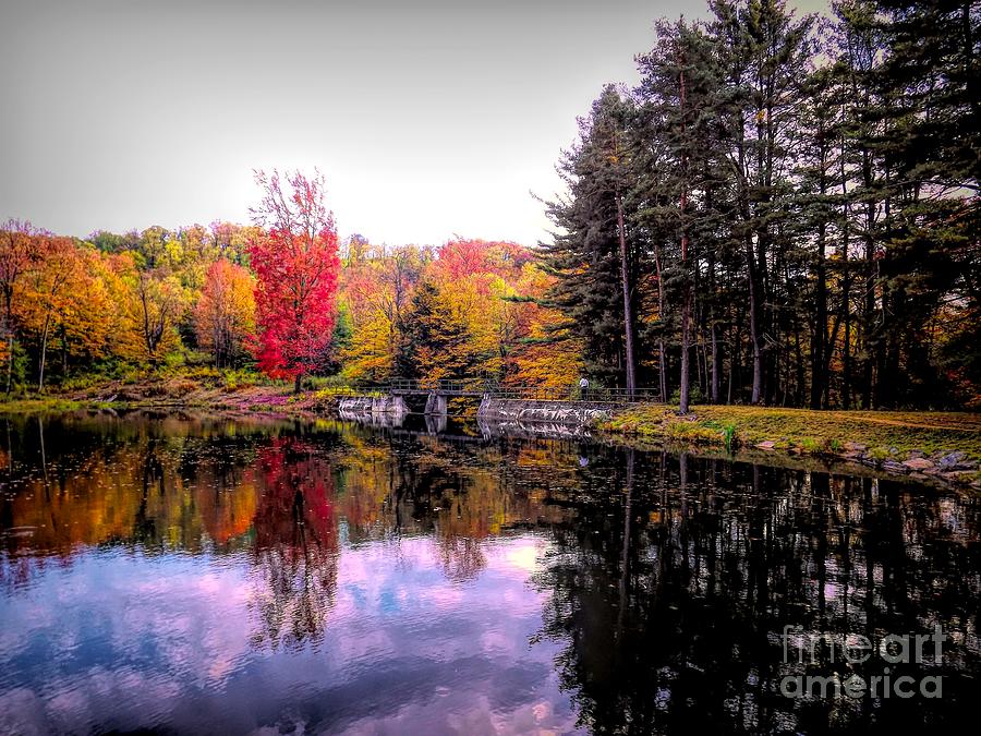 Allegany State Park Science Lake Dramatic HDR Photograph by Rose Santuci-Sofranko
