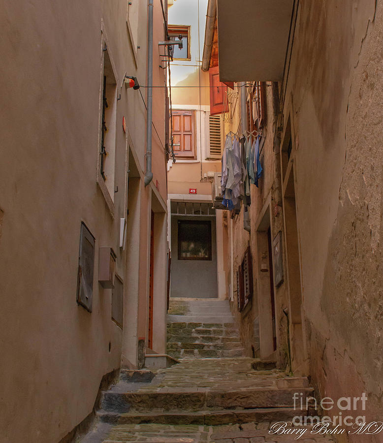 Alley in Parin Photograph by Barry Bohn