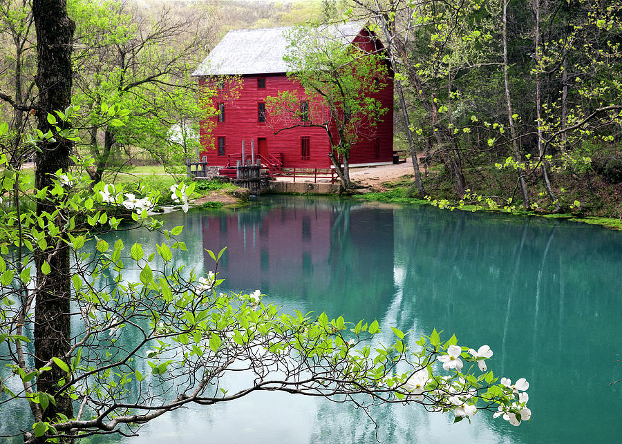 Alley Spring Mill in Spring - Ozark National Scenic Riverways Photograph by William Rainey