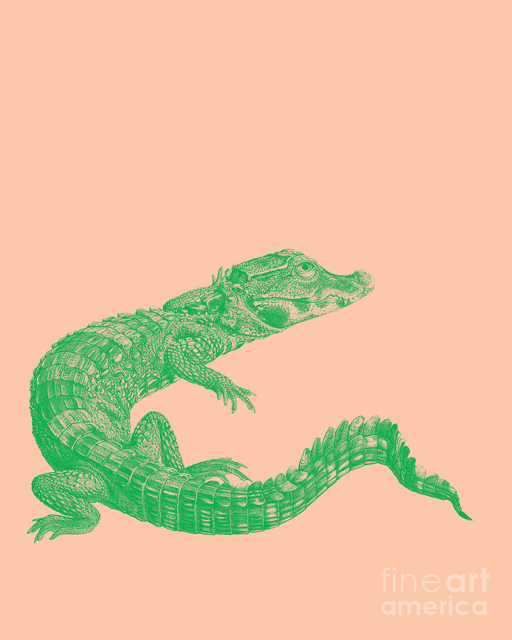 Crocodile Digital Art - Alligator In Green And Pink by Madame Memento