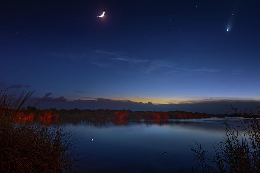 Alligators and Comets Photograph by Mark Andrew Thomas