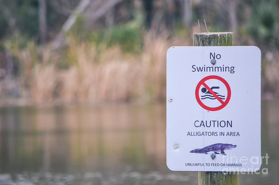 Alligators danger sign at Kathryn Abbey Hanna Park, Duval County