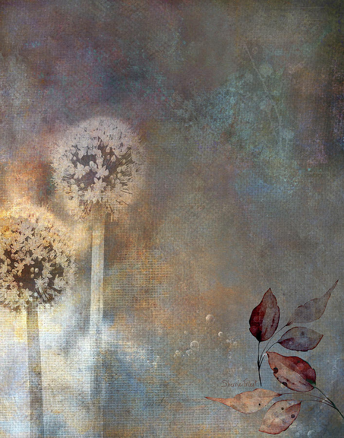 Allium Flowers Digital Art by Sherrie Triest