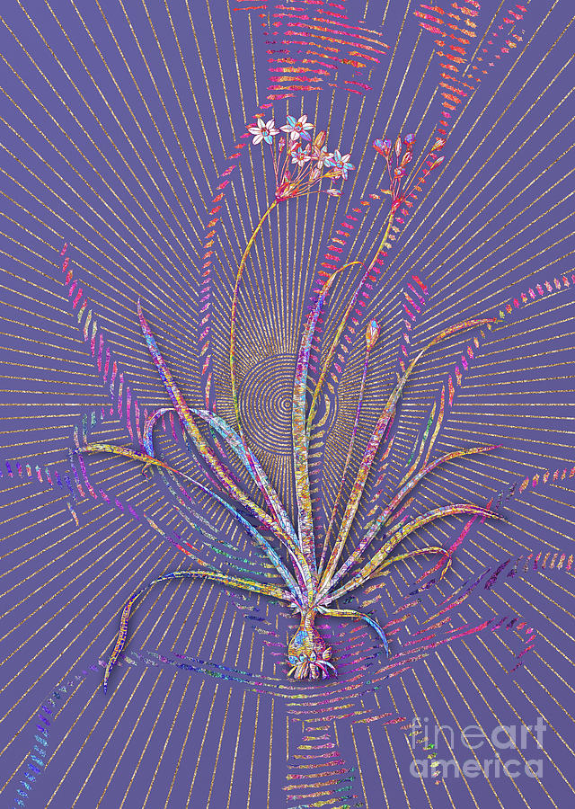 Allium Fragrans Mosaic Botanical Art on Veri Peri n.0008 Mixed Media by Holy Rock Design
