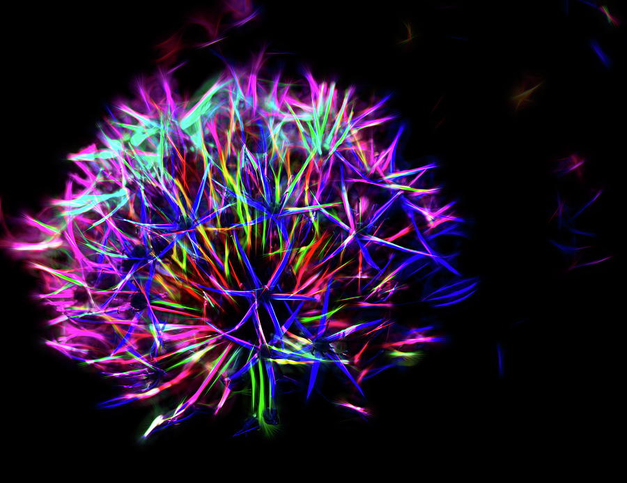 Allium Stars Glowing Digital Art by Mo Barton - Fine Art America