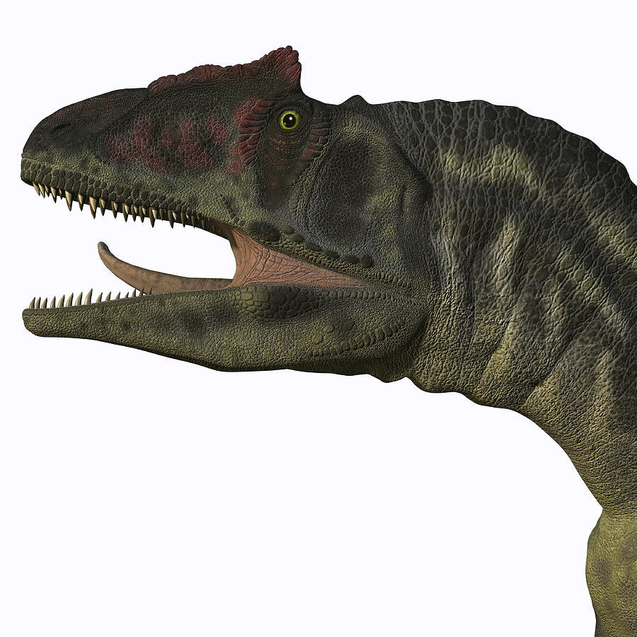 Allosaurus dinosaur. Drawing by Corey Ford/Stocktrek Images