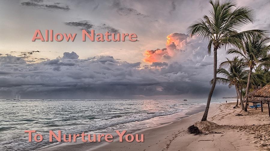 Allow Nature To Nurture You Photograph by Nancy Ayanna Wyatt