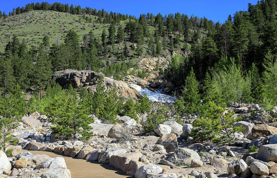 Alluvial Fan Rocky Mountains Photograph by Dan Sproul