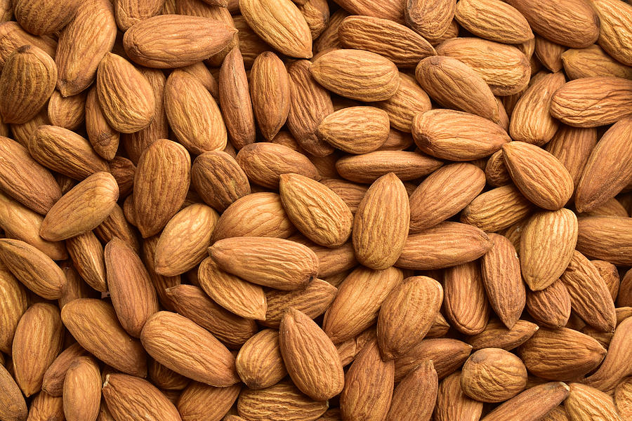 Almond, Backgrounds, Nut - Food, Textured, Harvesting Photograph by Utkarsh  Sharma