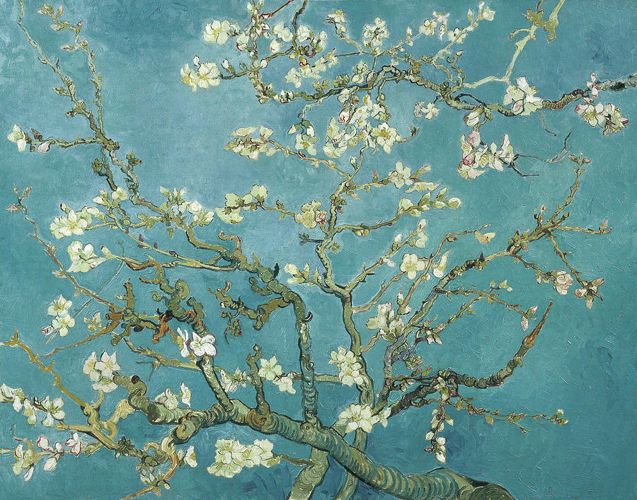 Almond blossom 1890 by Vincent van Gogh  Digital Art by Steve Hayhurst