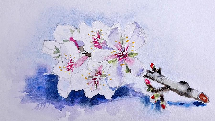 Almond Blossom Painting by Sandie Croft