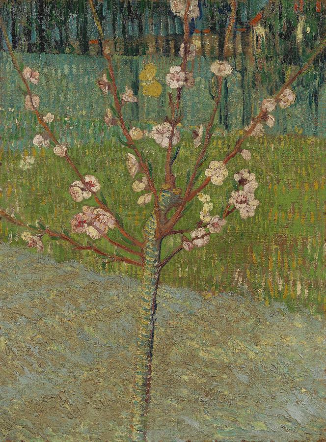 Almond Tree In Blossom Digital Art