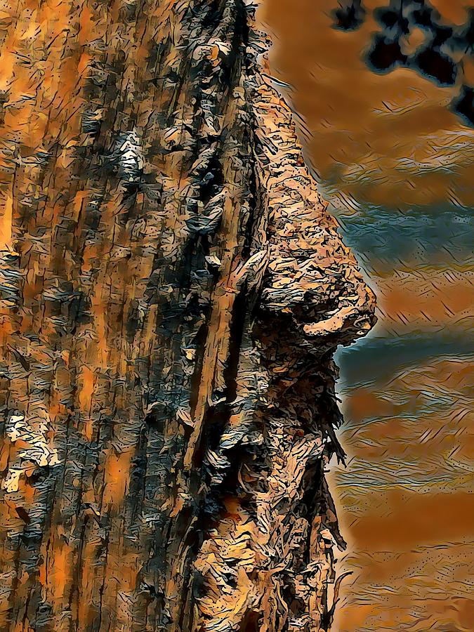 Almond-tree with nose-italy Digital Art by Spiga doro-Giancarlo Cencini