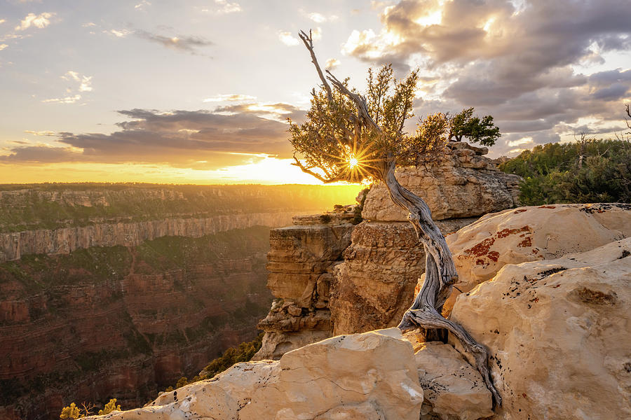 Almost Sunset On The North Rim Photograph by Kelly VanDellen